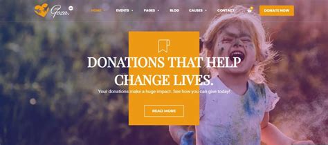 wordpress for charities|WordPress for Nonprofits: Best Themes, Plugins, and .